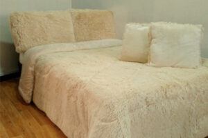cama-4